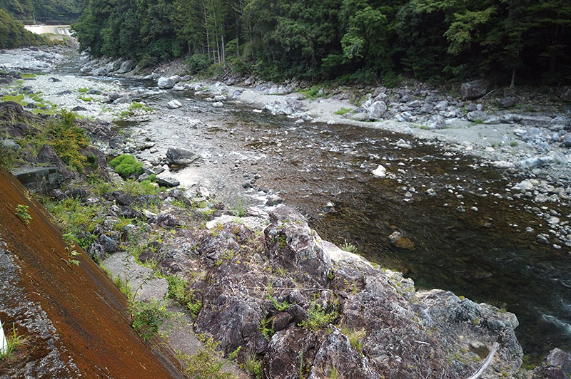 大熊谷出合上流付近の川の様子
