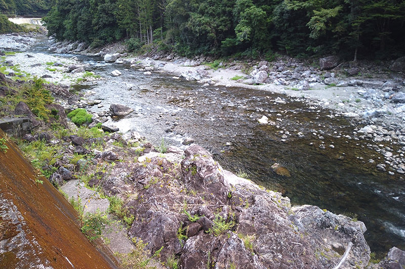 大熊谷出合上流付近の川の様子
