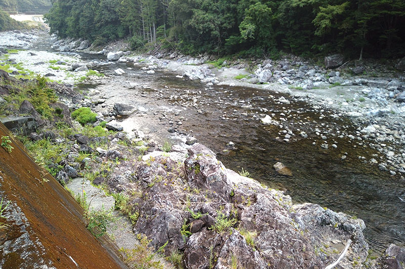 大熊谷出合上流付近の川の様子