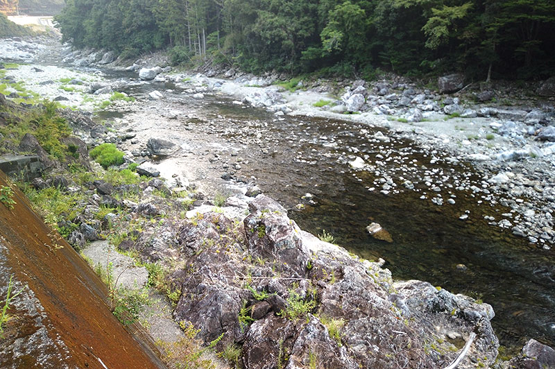 大熊谷出合上流付近の川の様子