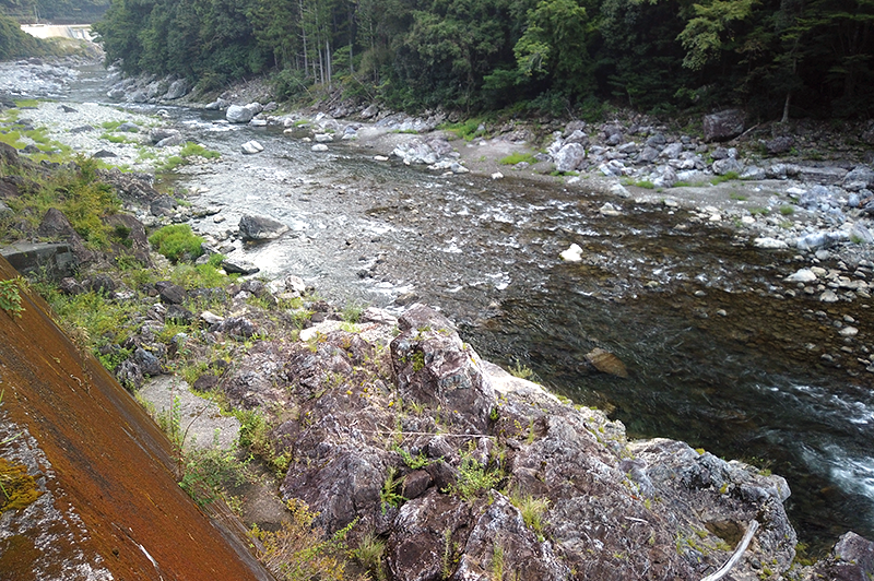 大熊谷出合上流付近の川の様子