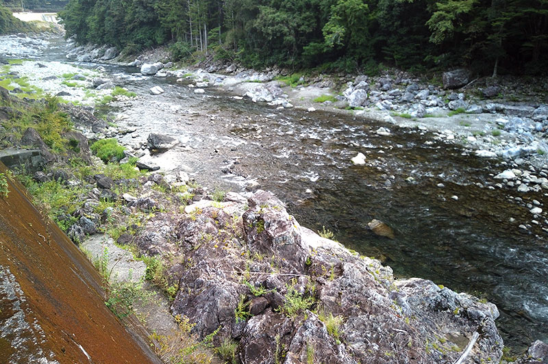 大熊谷出合上流付近の川の様子