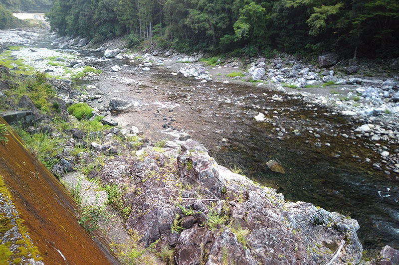 大熊谷出合上流付近の川の様子