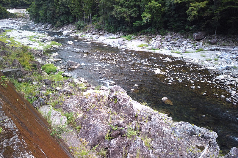 大熊谷出合上流付近の川の様子