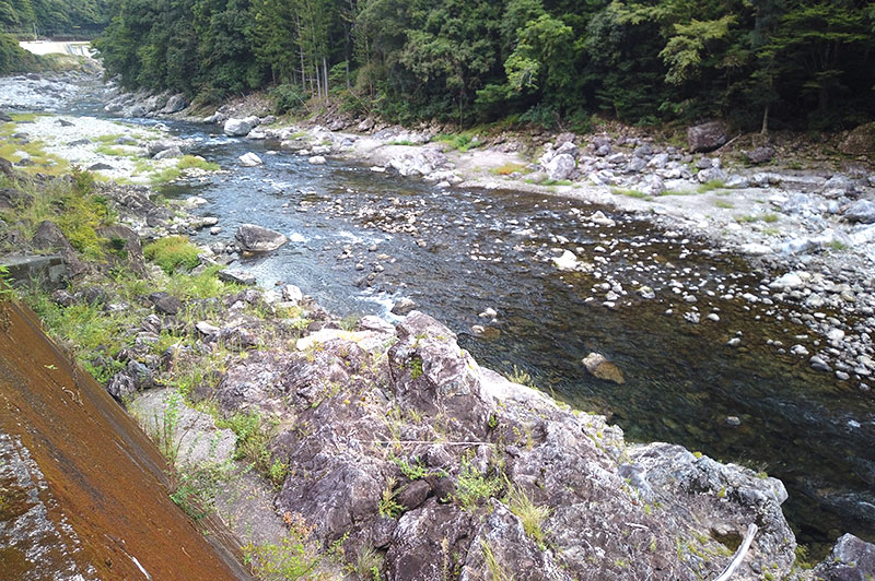 大熊谷出合上流付近の川の様子