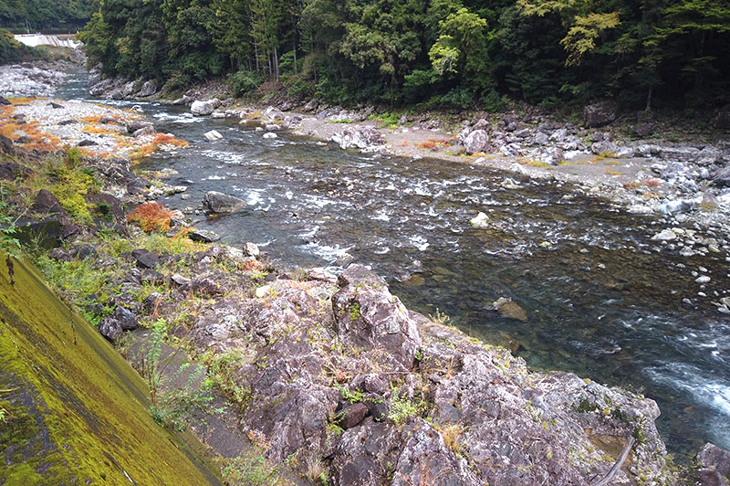 大熊谷出合上流付近の川の様子