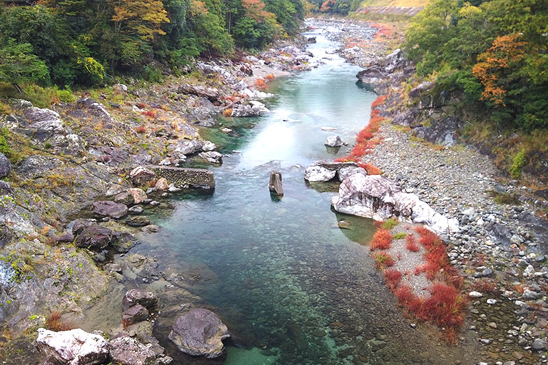 落滝橋からの川の様子