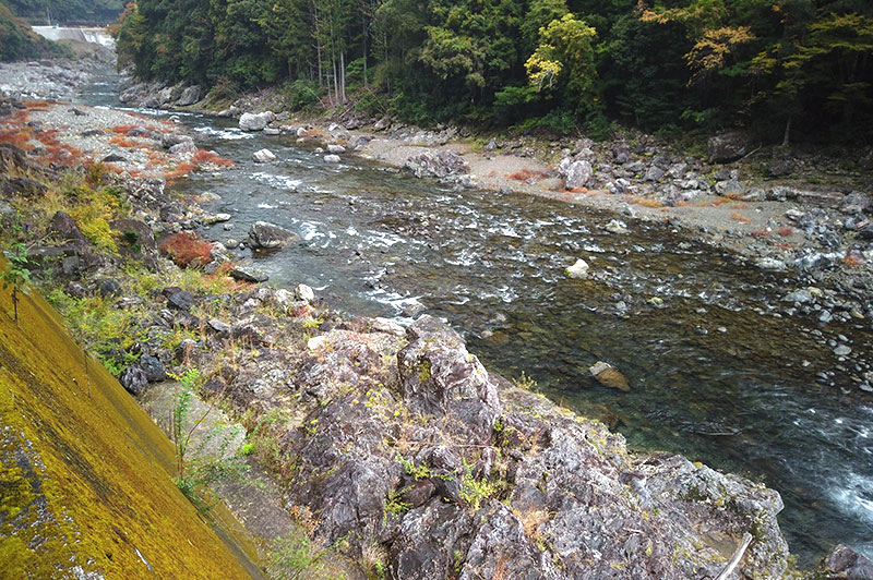 大熊谷出合上流付近の川の様子