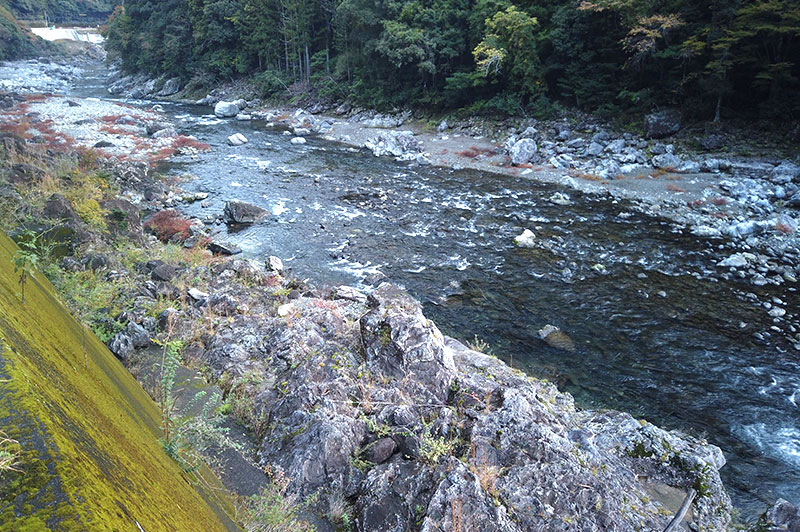 大熊谷出合上流付近の川の様子