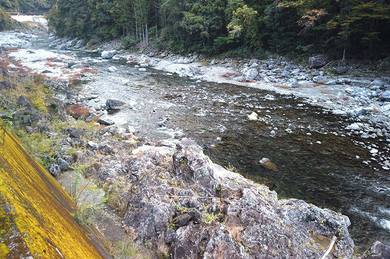 大熊谷出合上流付近の川の様子