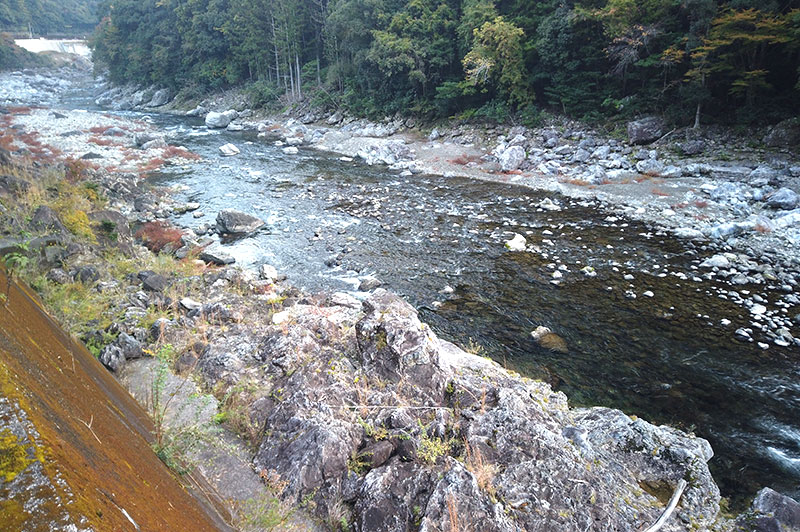大熊谷出合上流付近の川の様子