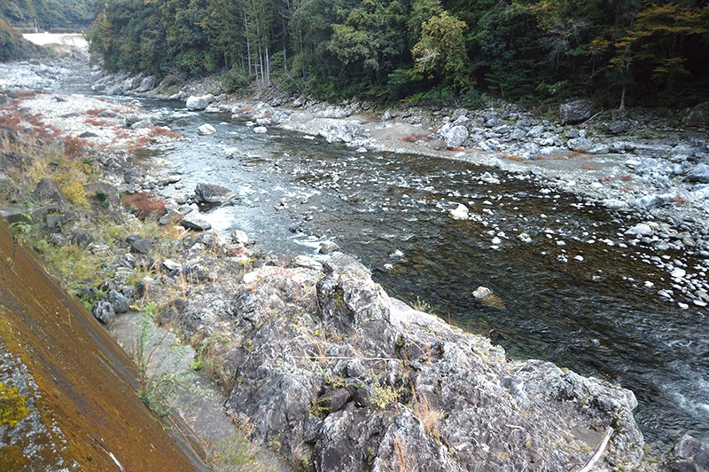 大熊谷出合上流付近の川の様子
