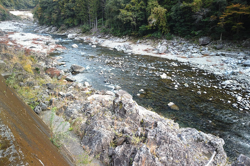 大熊谷出合上流付近の川の様子