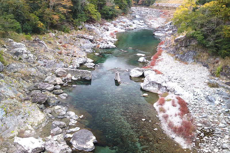 落滝橋からの川の様子