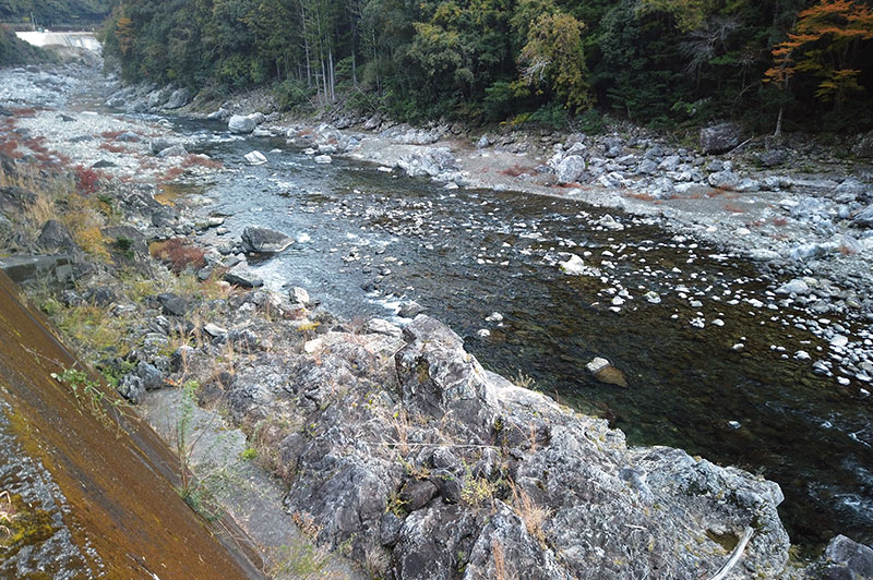 大熊谷出合上流付近の川の様子