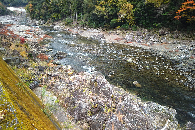 大熊谷出合上流付近の川の様子