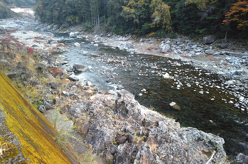 大熊谷出合上流付近の川の様子