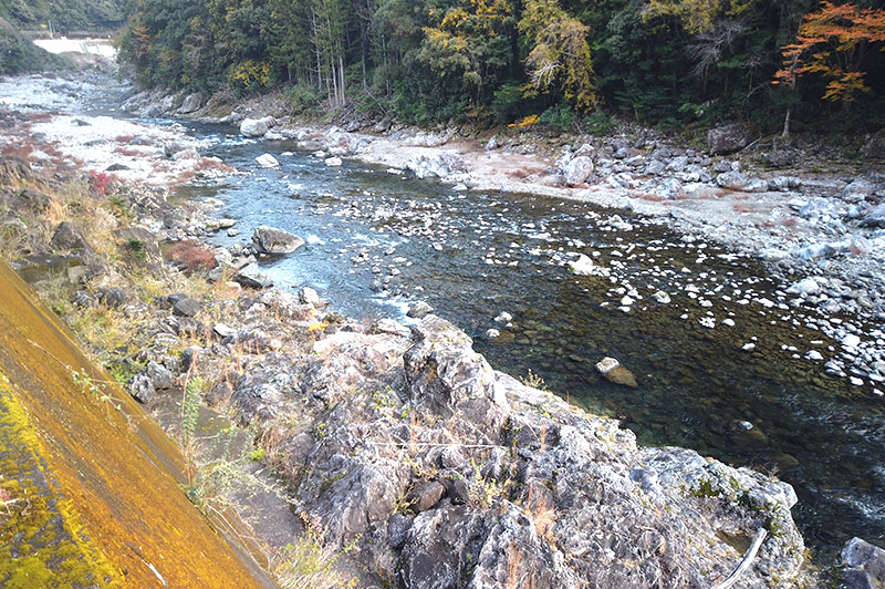 大熊谷出合上流付近の川の様子