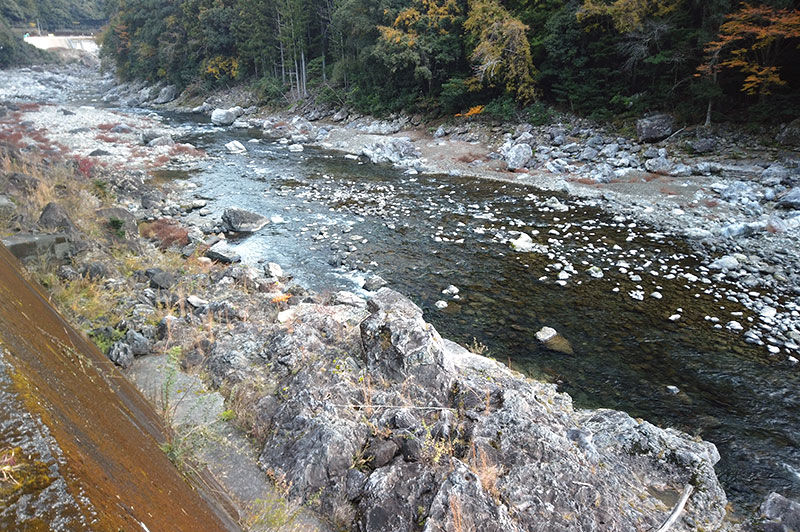 大熊谷出合上流付近の川の様子