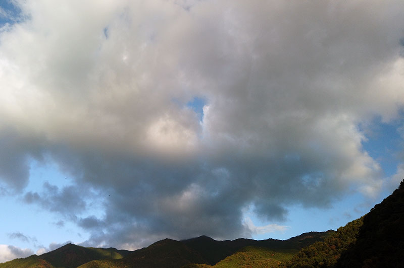 11月14日の空の様子