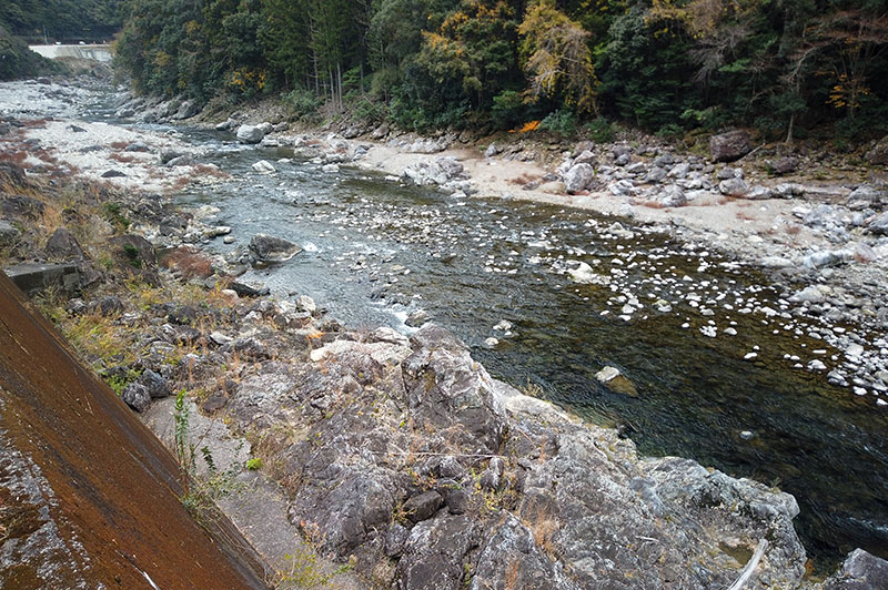 大熊谷出合上流付近の川の様子