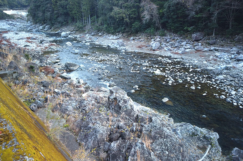 大熊谷出合上流付近の川の様子