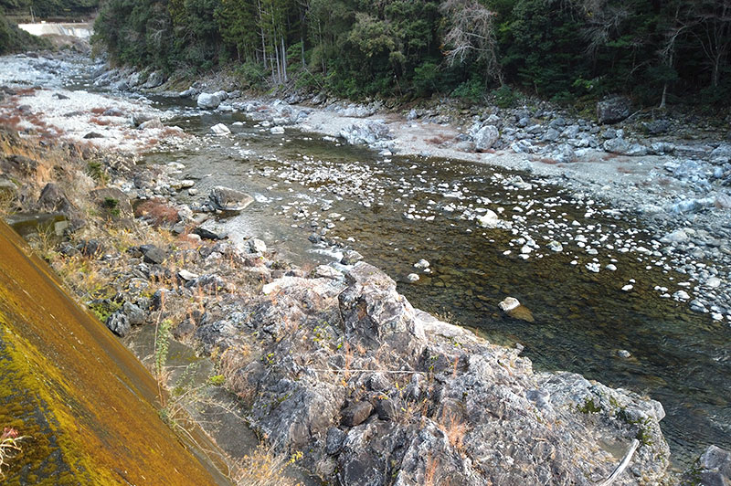 大熊谷出合上流付近の川の様子