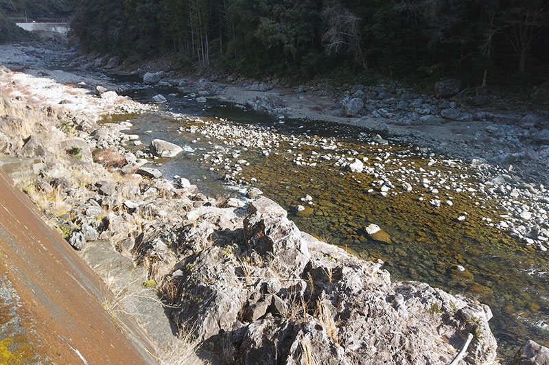 大熊谷出合上流付近の川の様子