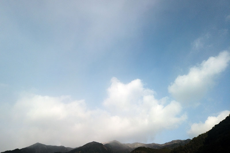 1月24日の空の様子