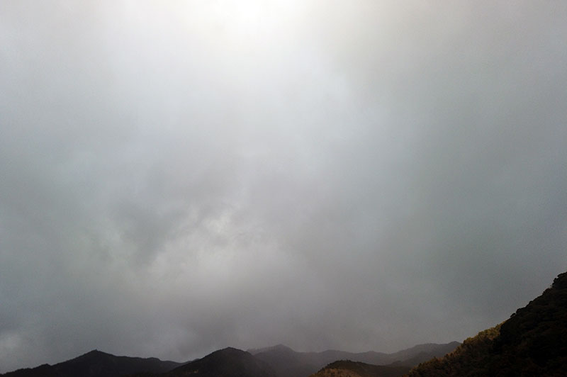 1月29日の空の様子