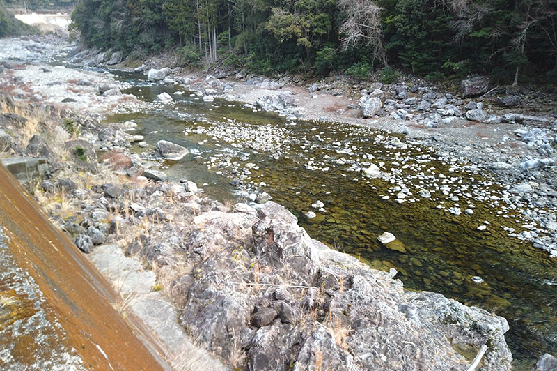 大熊谷出合上流付近の川の様子
