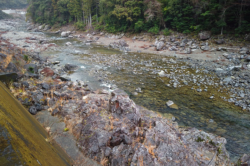 大熊谷出合上流付近の川の様子