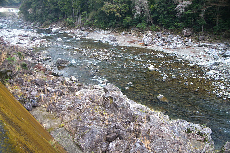 大熊谷出合上流付近の川の様子