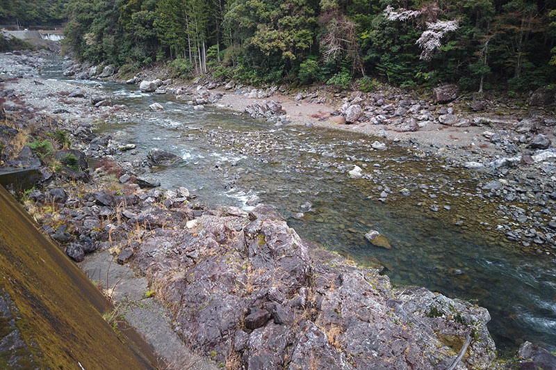 大熊谷出合上流付近の川の様子